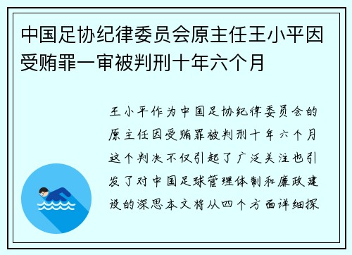 中国足协纪律委员会原主任王小平因受贿罪一审被判刑十年六个月