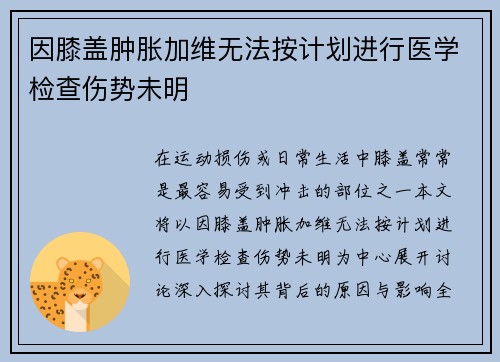 因膝盖肿胀加维无法按计划进行医学检查伤势未明